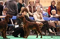 Crufts2011 150